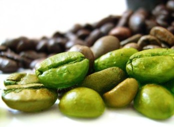 extract-of-green-coffee-beans