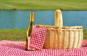 9631361-picnic-basket-and-bottle-of-white-wine-on-red-gingham-blanket-beside-lake